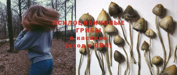 Альфа ПВП Покровск