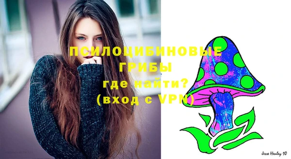 кокс Арсеньев