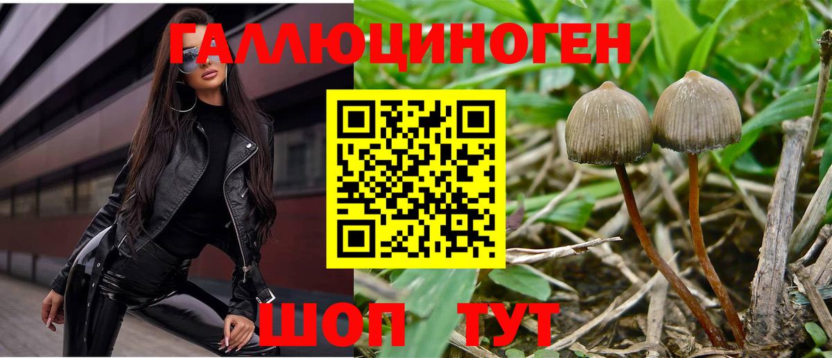 Псилоцибиновые грибы GOLDEN TEACHER Верхняя Салда