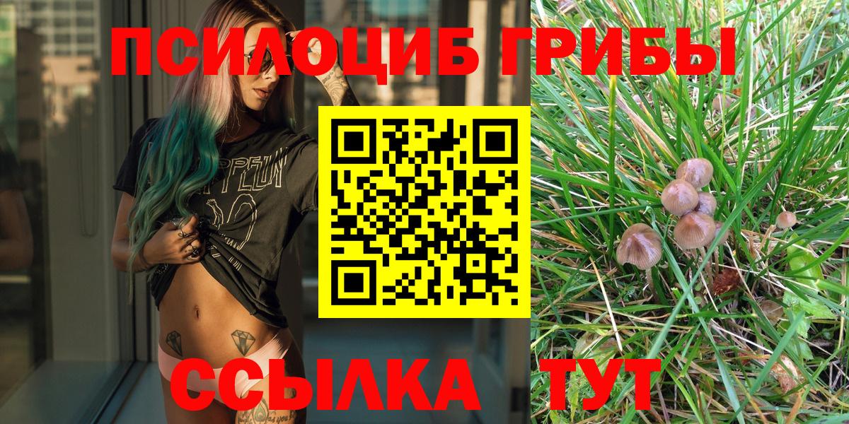 Верхняя Салда  Галлюциногенные грибы Psilocybine cubensis  Вход с VPN 